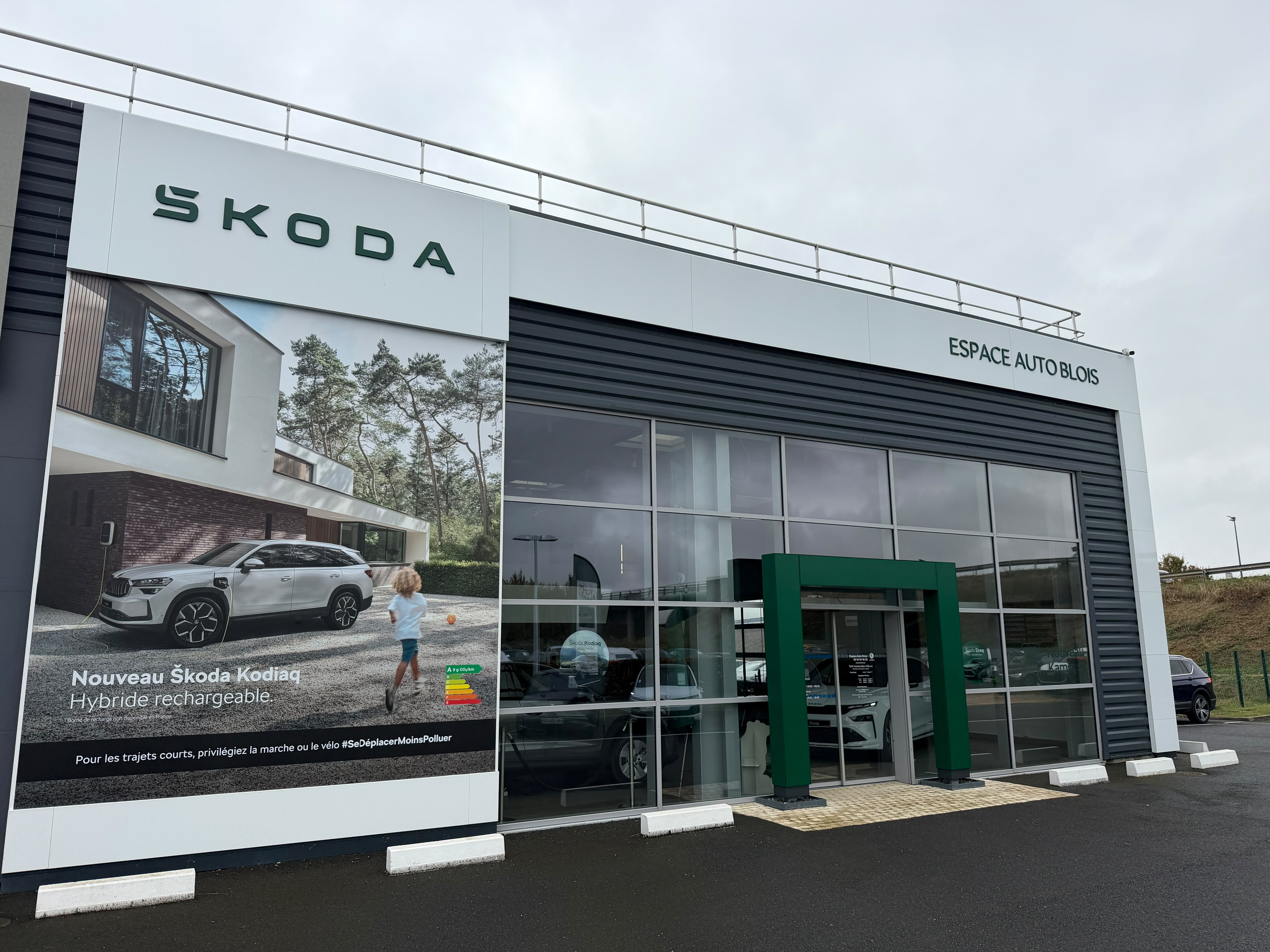 SKODA BLOIS