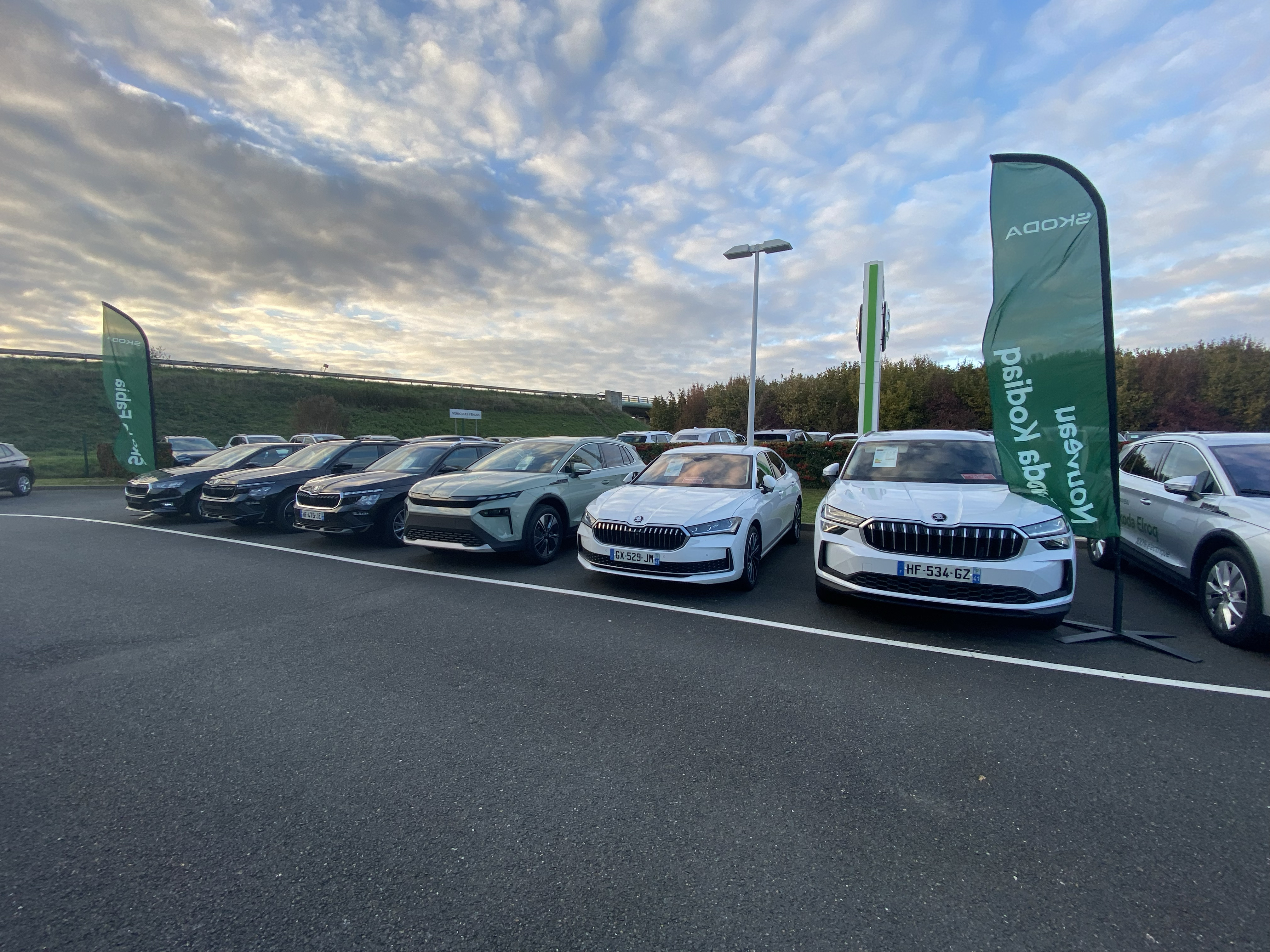 Skoda Blois