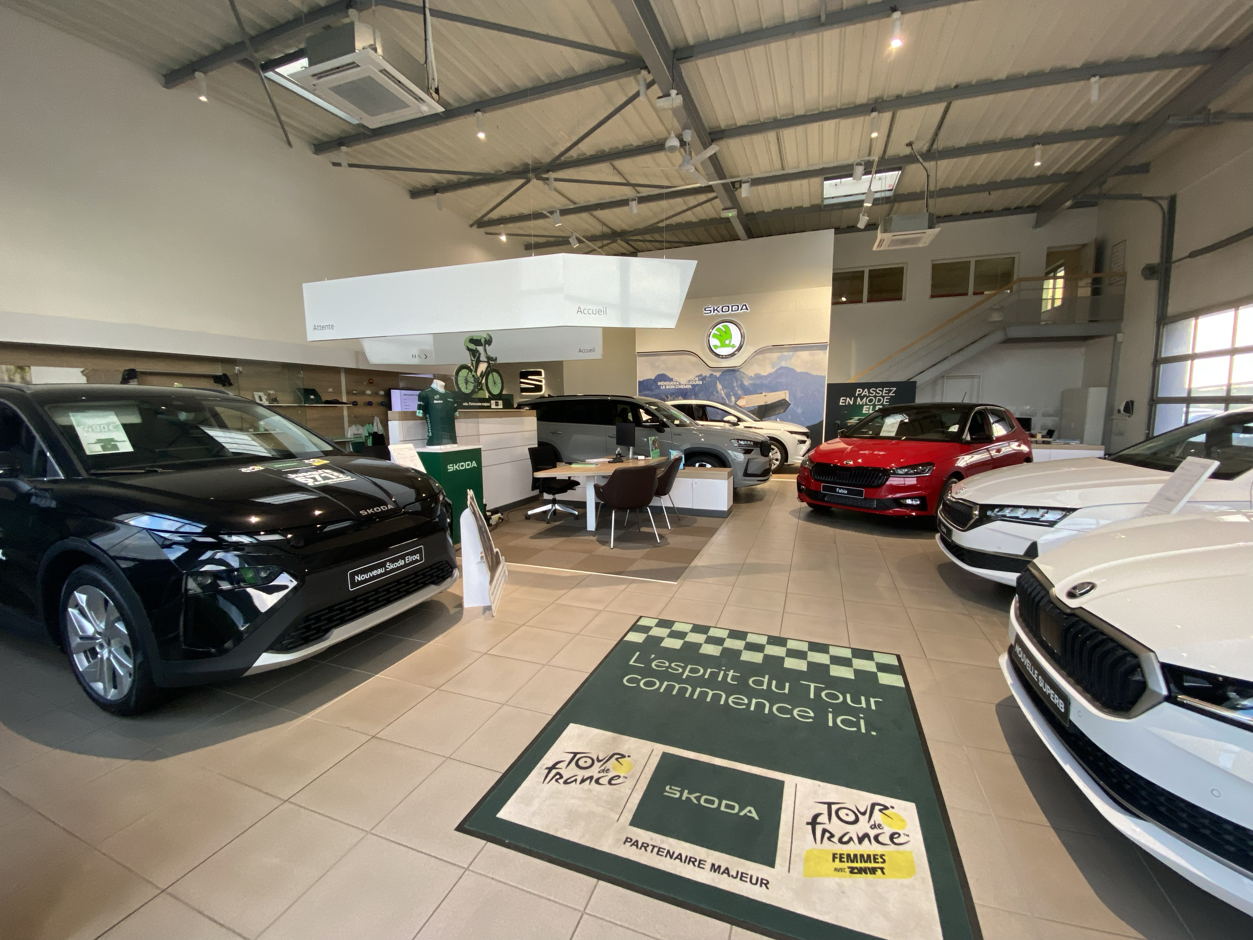 Skoda Blois