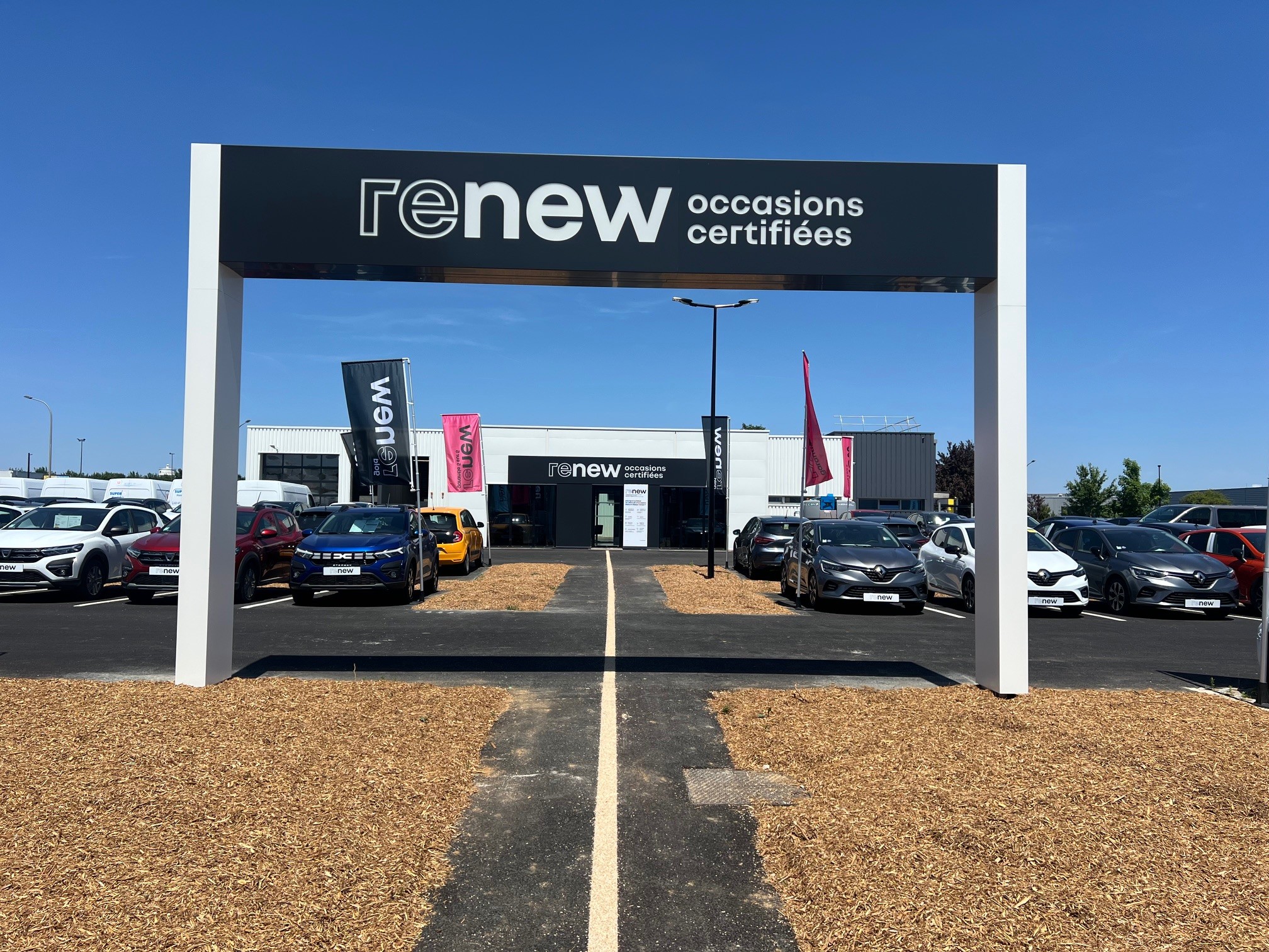 renew