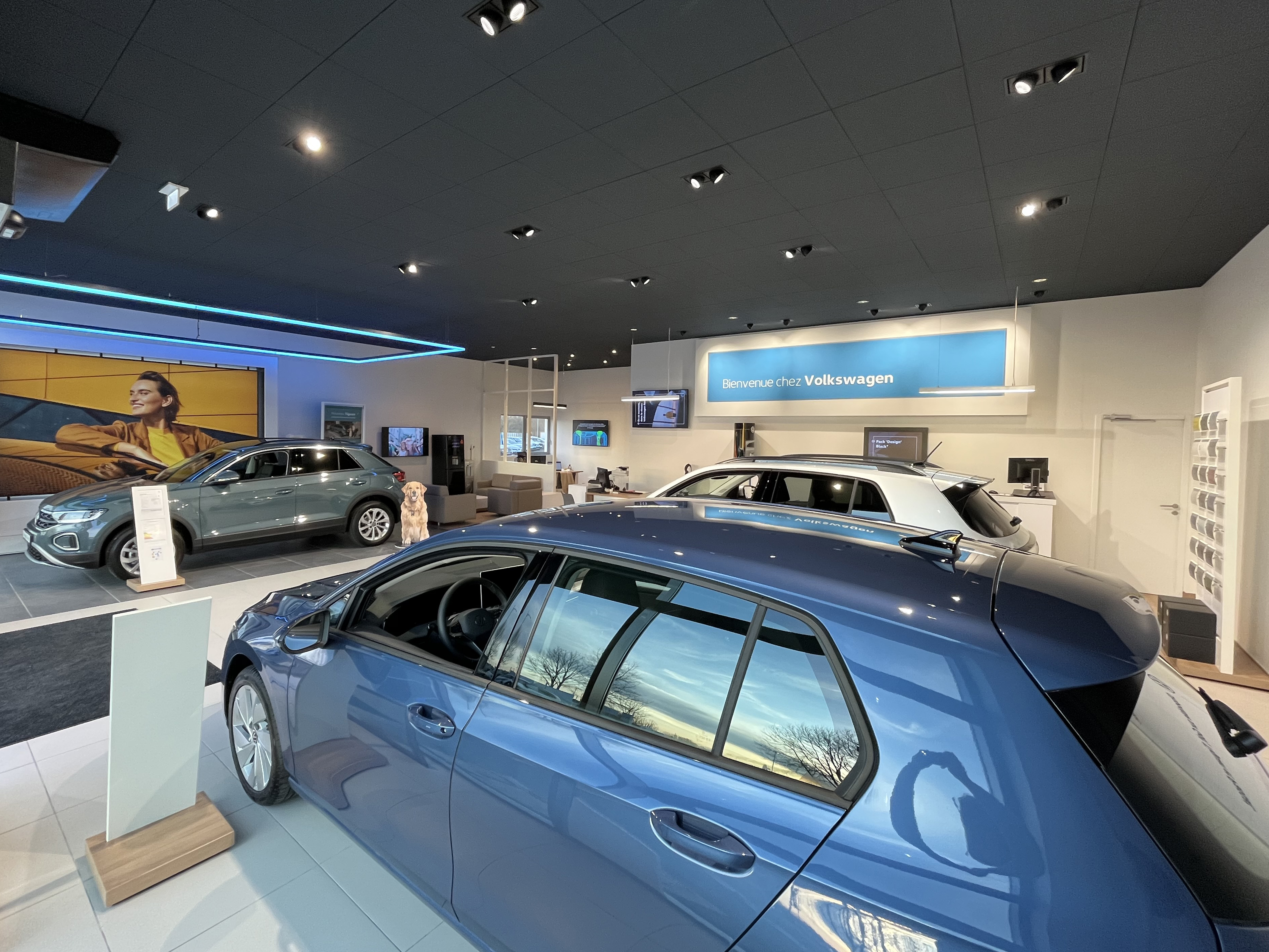 VW Romo 02
